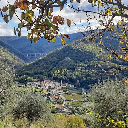 Agriturismo A Ca Du Paiperu Pieve di Teco Bagian luar foto