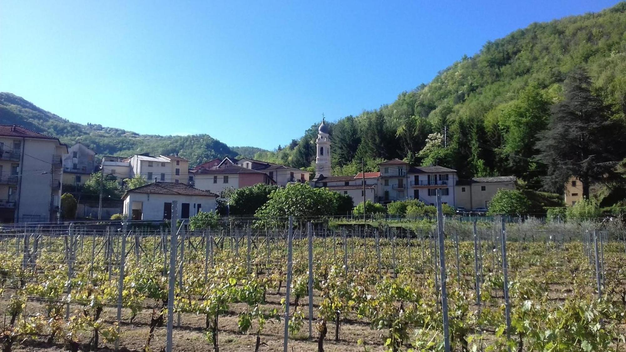 Agriturismo A Ca Du Paiperu Pieve di Teco Bagian luar foto